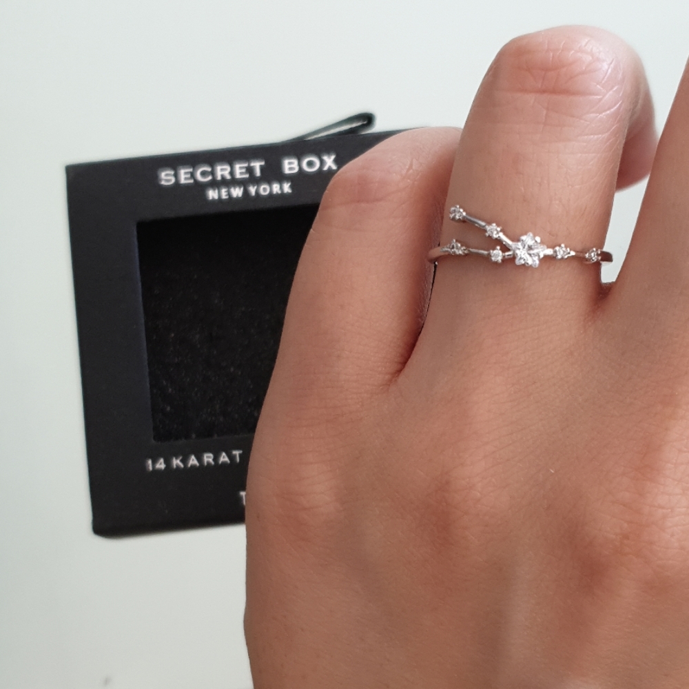Zodiac Ring 14K Gold Dipped Constellation Rings CZ